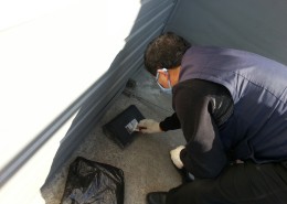 성부식품. 구서.