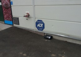 *담*레 .구서. 트랩