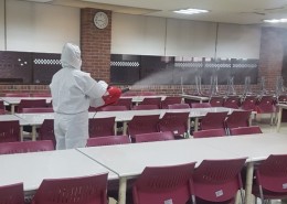 코로나방역현황